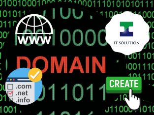 Secure Domain Name with IT Solution Singapore